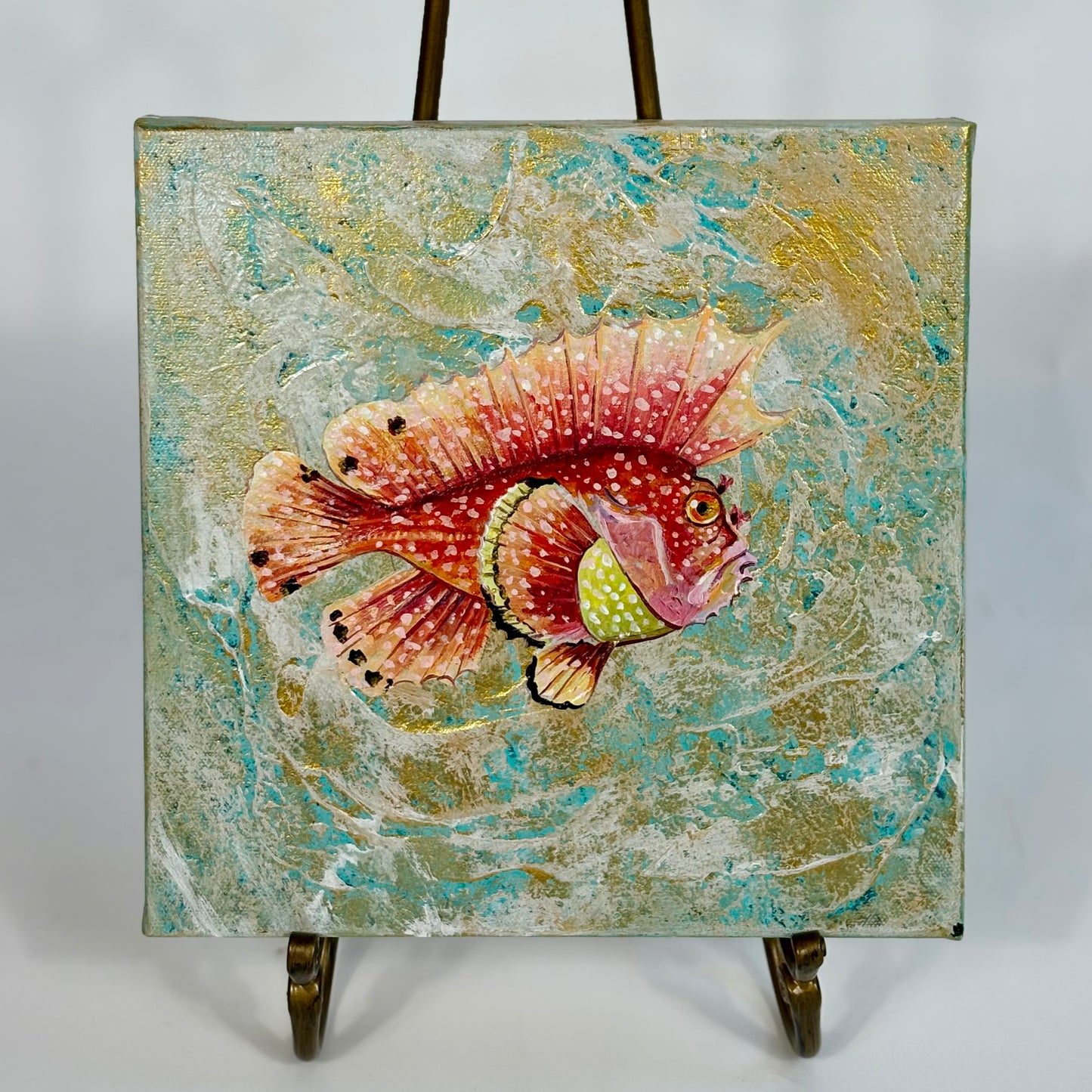 Orange Spotted Grouper