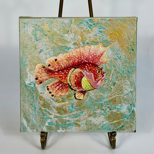 Orange Spotted Grouper